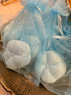 Eucalyptus Mint Shower Steamer